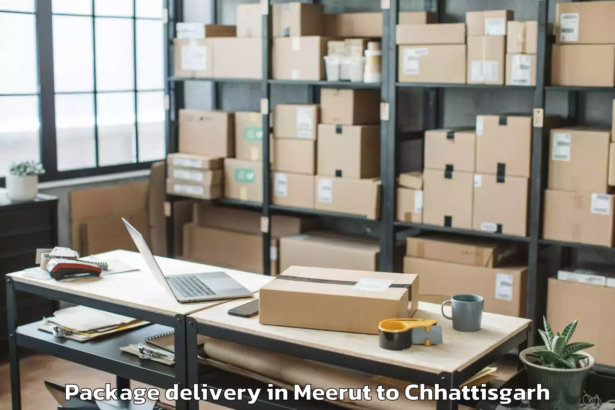 Professional Meerut to Mats University Aarang Package Delivery